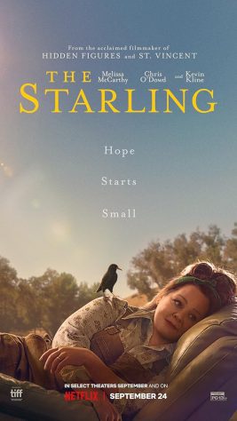 دانلود فیلم The Starling 2021